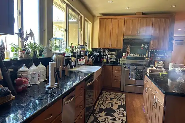 Home Harmonizers Cleaning Services LLC's other services